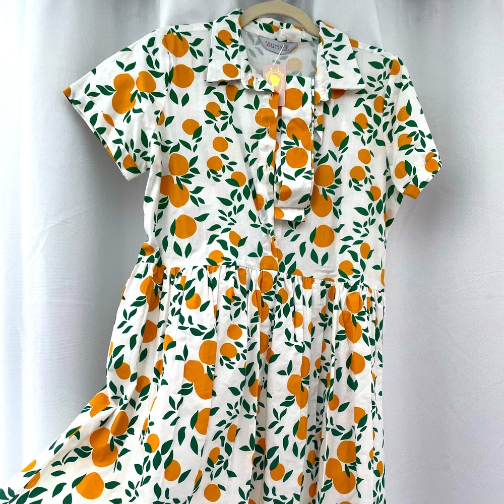 Boutique 1861 BNWT Skater Style Dress